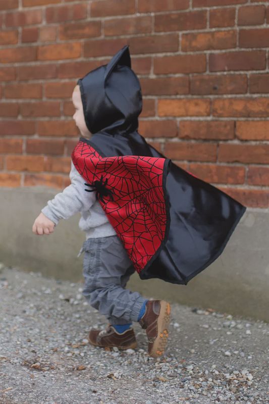 Reversible Spider/Bat Cape