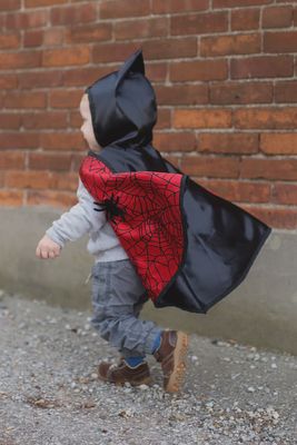 Reversible Spider/Bat Cape