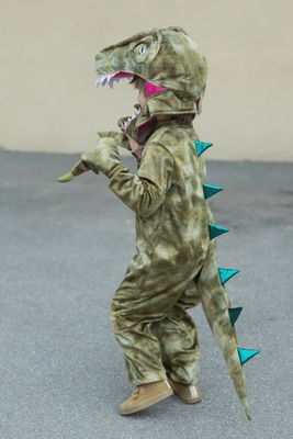 A Land Before Mine Deluxe Raptor