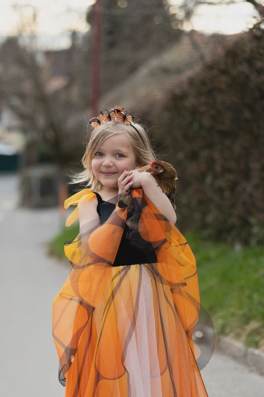 Butterfly Twirl Dress | Monarch