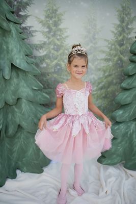 Prima Ballerina Dress | Dusty Rose