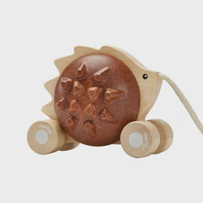 Pull-Along Hedgehog | Brown