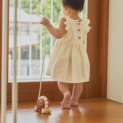 Pull-Along Hedgehog | Brown