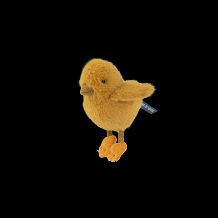 Chick | All Around the World