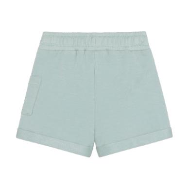 Weekender Shorts | Mist