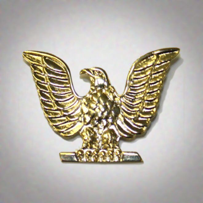 Pin Eagle Navy #3