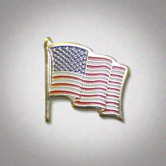 Pin US Flag #7