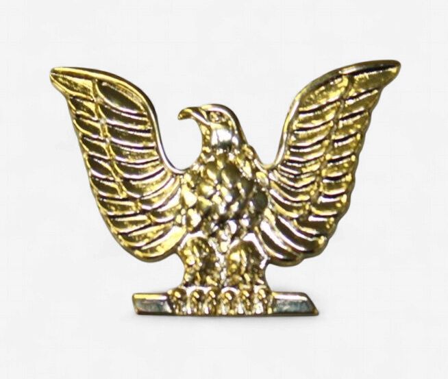 Pin Eagle Navy #3