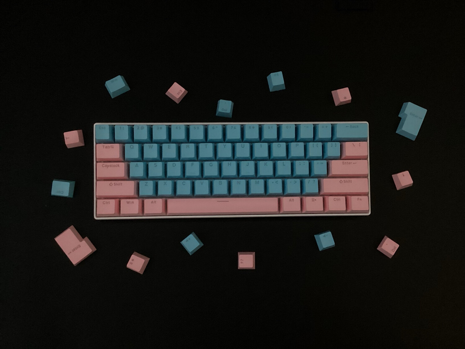 Bubble Gum