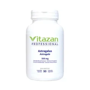 Astragalus 500mg - 90 Capsules