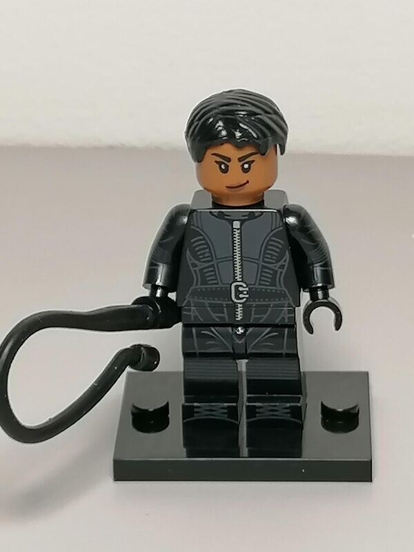 Catwoman  minifigure  Halle Berry version