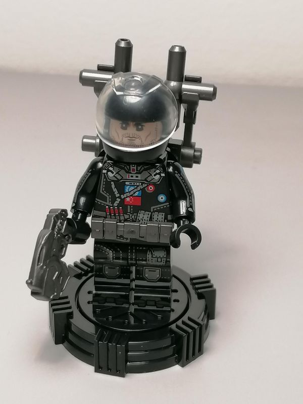 Wondering Hearth minifigure