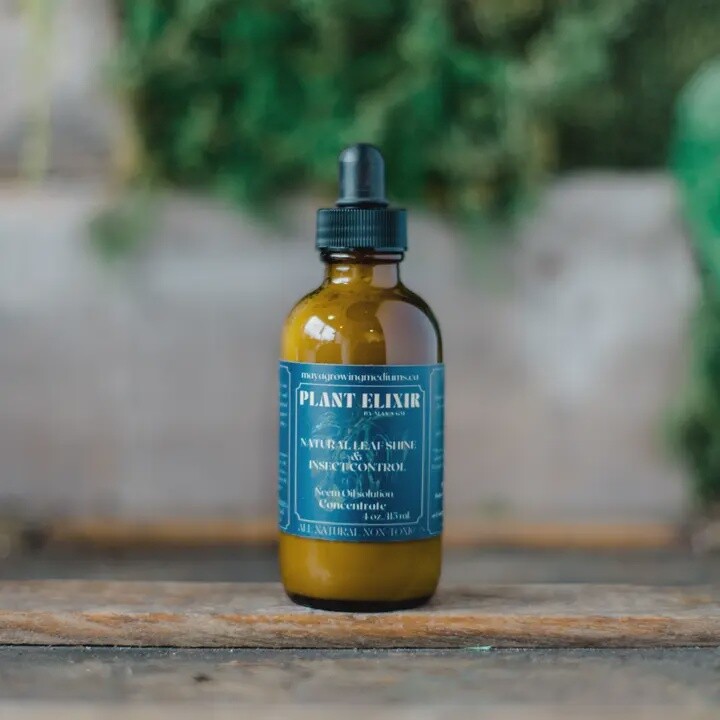 Maya Plant Elixir - Concentrate