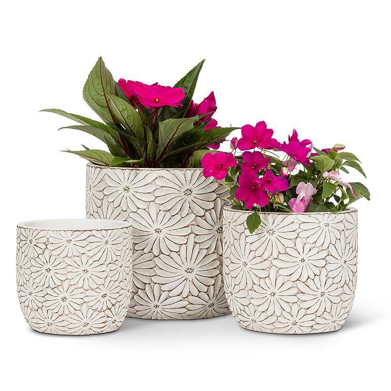 Daisy Planter White Etched