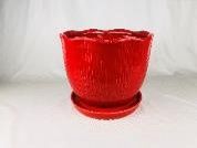 Tulip Planter w/ Saucer