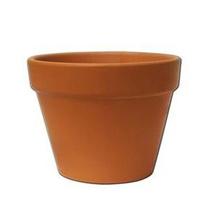 Terracotta Pot 6"D