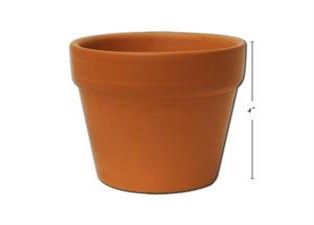 Terracotta Pot 4.5"D