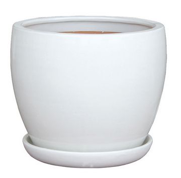 Egg Shape White w/saucer Pot