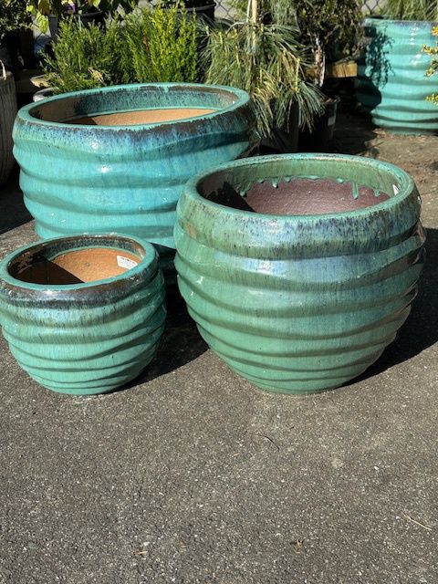 Livinia Pots