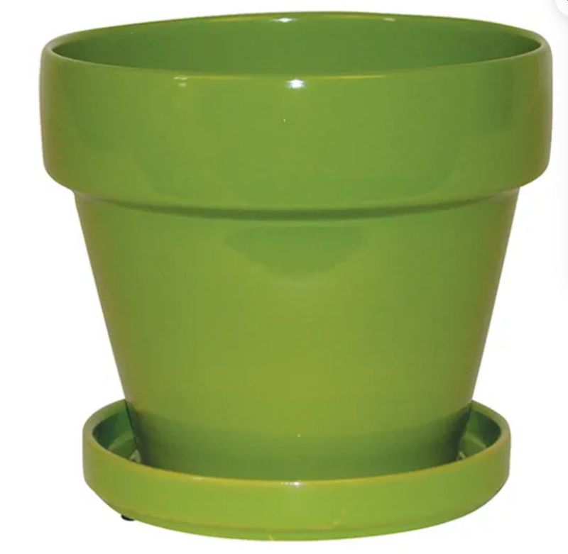 Bright Standard Pot w/attached saucer