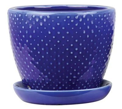 Classic Dot Planter w/saucer