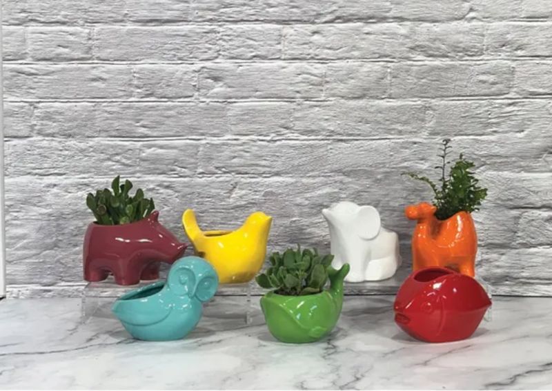 Colour Pop Animal Planters, assrt.