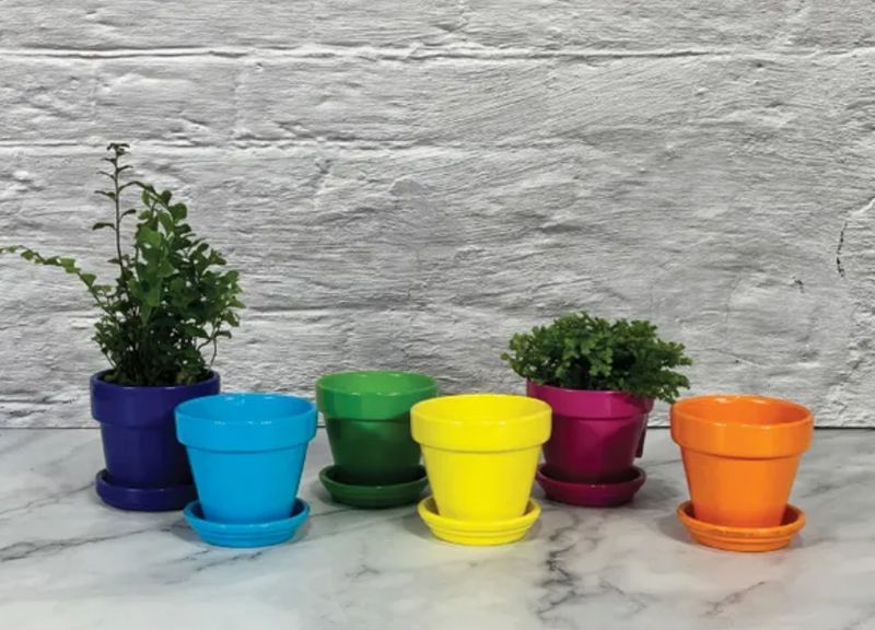 Mini Bright Standard Pot w/saucer