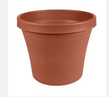 Terracotta Pot 4"D