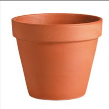 Terracotta Pot 14"