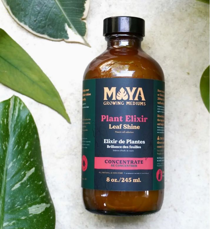 Maya Plant Elixier - Ready to Use
