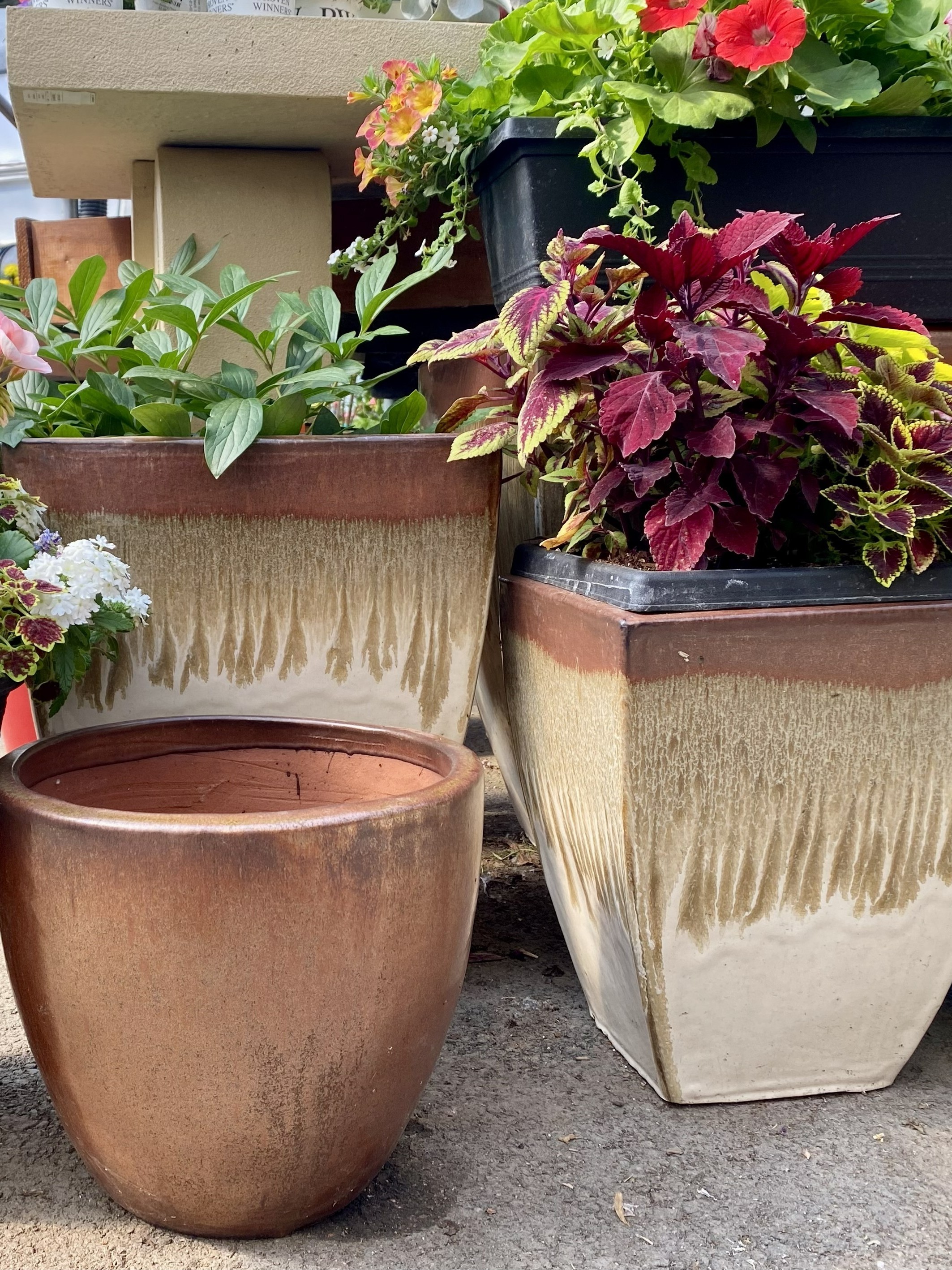 ロンゴ 「パティオ ガーデン1 Products — Patio Gardens
