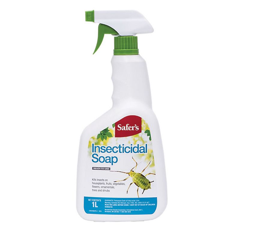 Safers Insecticide, Variety: Ready to Use Soap 1L