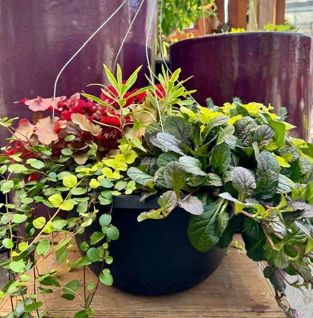 Fall Foliage Hanging Baskets, Size: 15" Plastic Basket