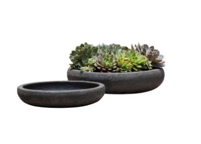 Nico Bowl