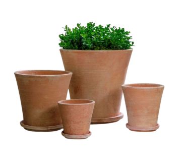 Alicia Planter