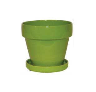 Bright Standard Pot w/attached saucer