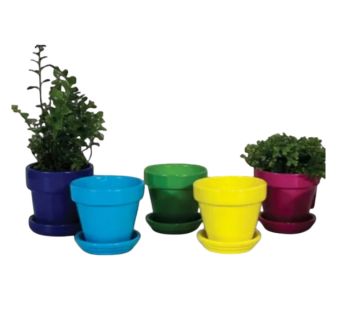 Mini Bright Standard Pot w/saucer