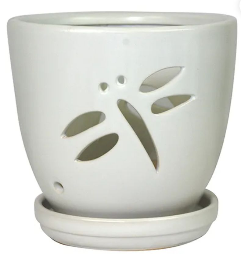 Dragonfly Orchid Pot w/ Saucer, Colour: MatteWhite, Size: 5.5"x5.25"