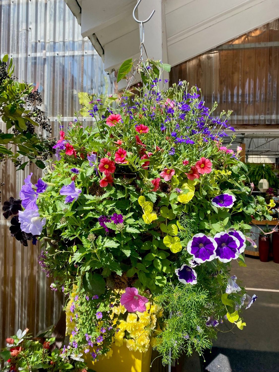 Moss Basket PG
