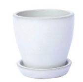 Mini Pacifica pot, Colour: White, Variety: w/ Saucer