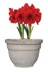 Chocolate Terracotta pots, Size: S, Variety: 2-ring