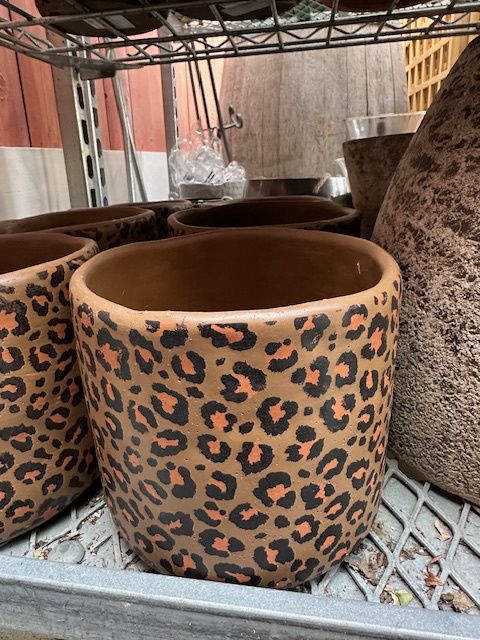 Leopard Printed Planter, Size: Medium 14.5x14.5x13 cm