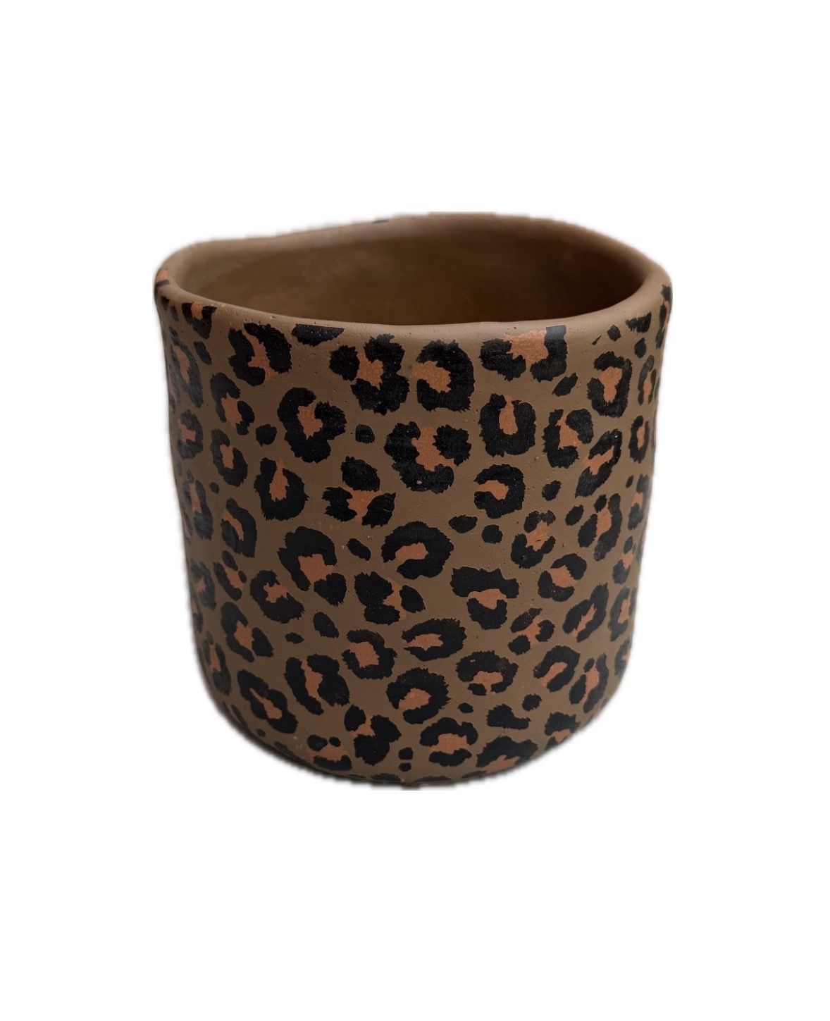 Leopard Printed Planter, Size: Medium 14.5x14.5x13 cm