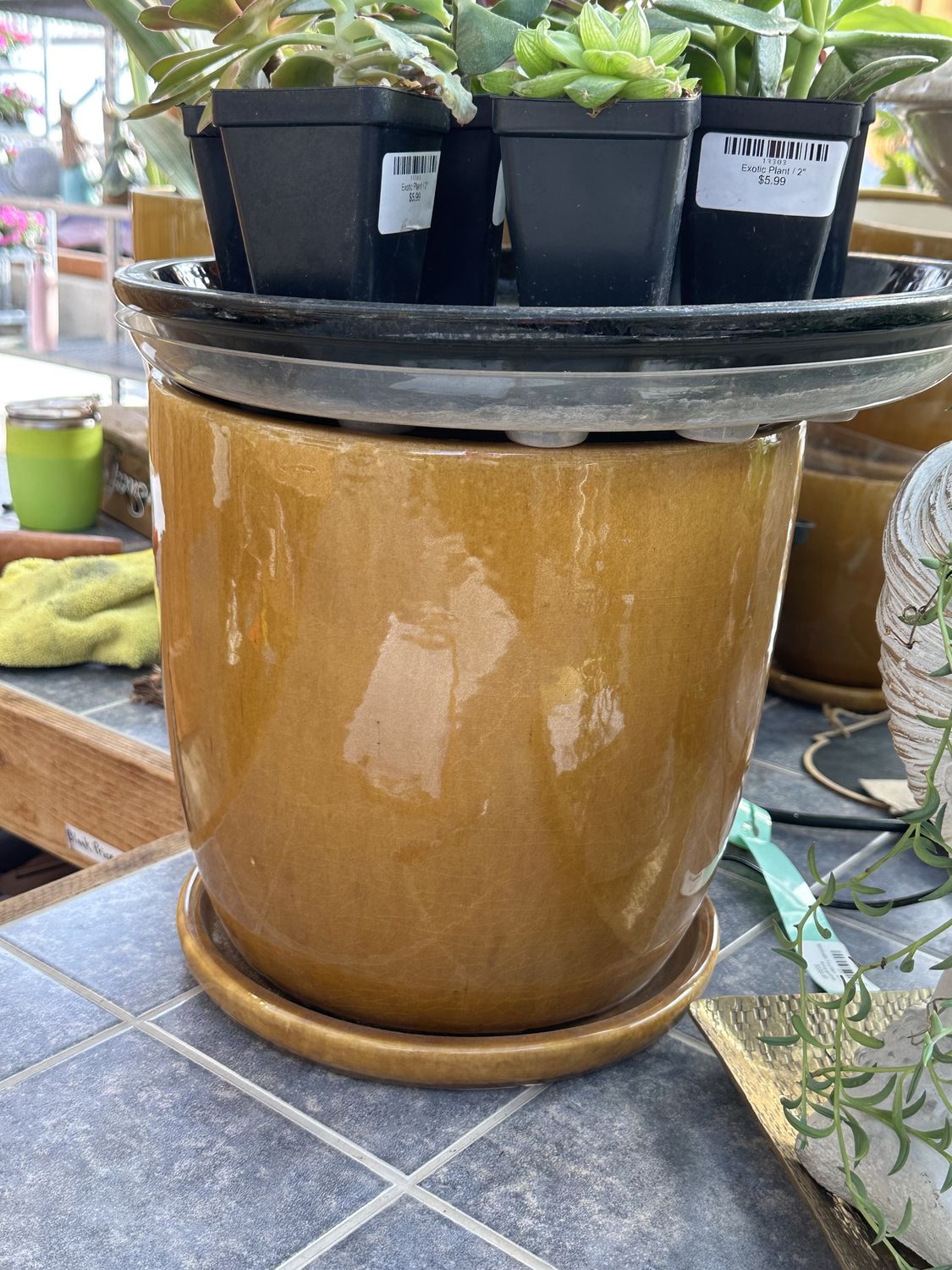 Egg Pot w/ Drainage Hole, Size: 11"