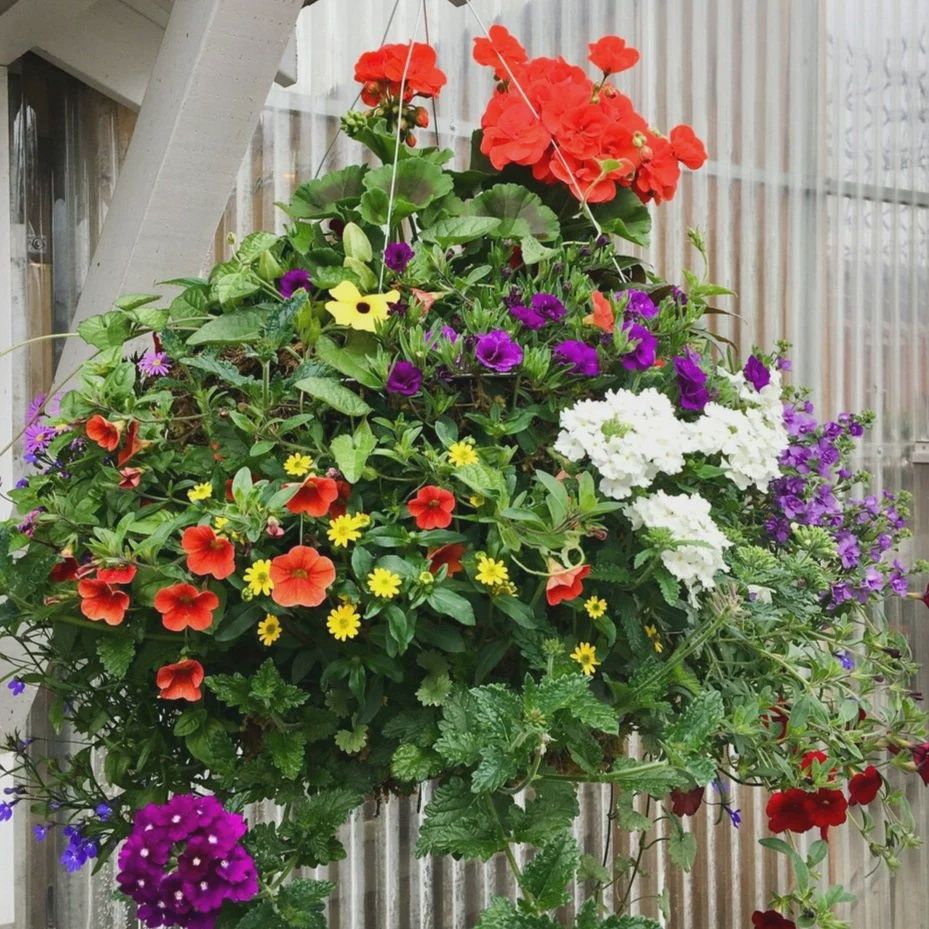 14" Confetti Fiber SUN Basket - PRE-ORDER