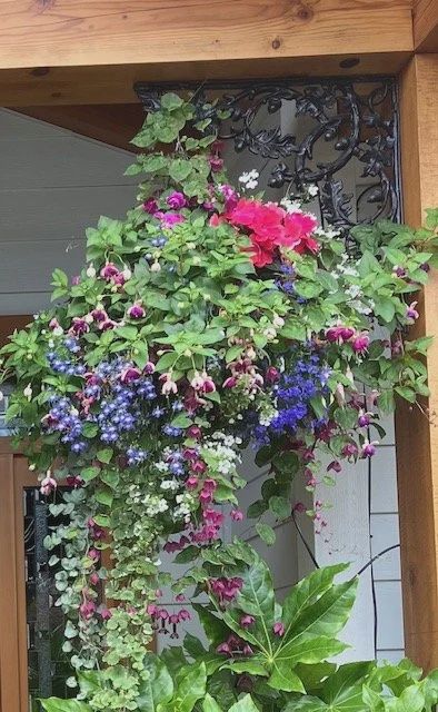 14" Secret Garden Fiber SHADE Basket - PRE-ORDER