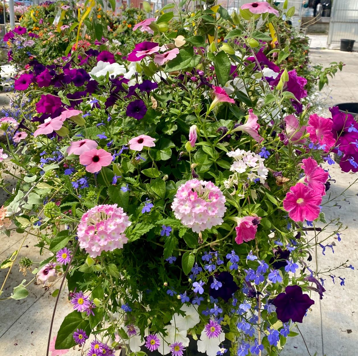 14" Sweetheart Fiber SUN Basket - PRE-ORDER