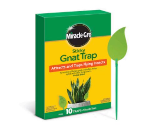 Miracle-Gro Sticky Gnat Trap