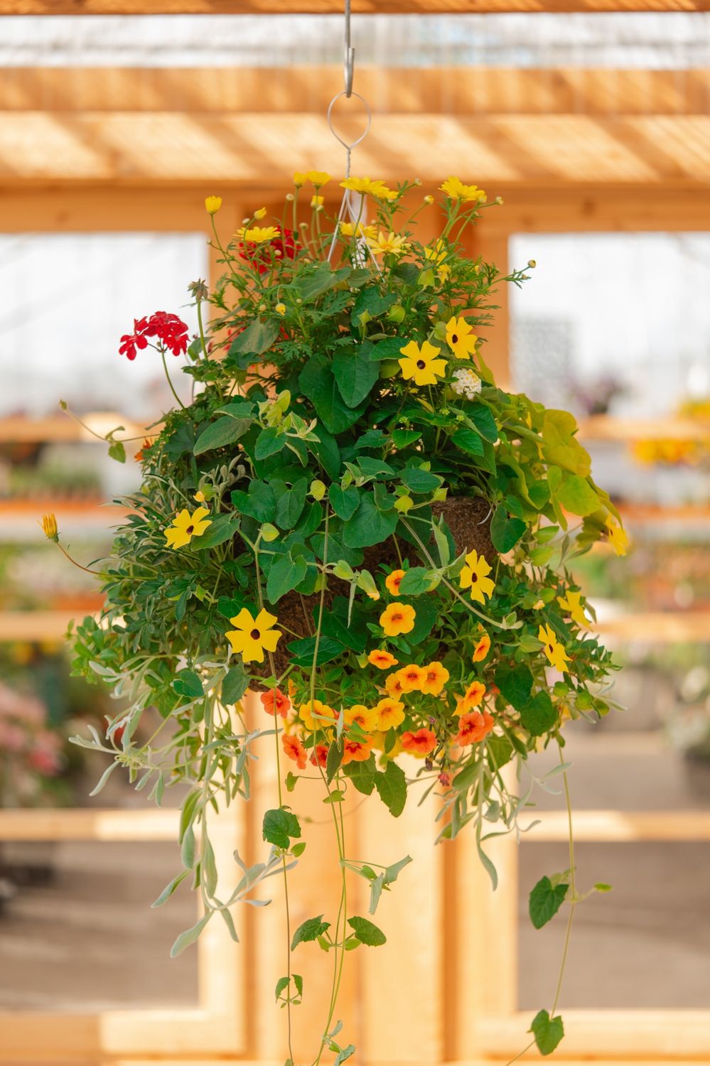 14" Drought Tolerant Fiber Basket - PRE-ORDER