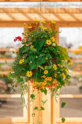 14" Drought Tolerant Fiber Basket - PRE-ORDER